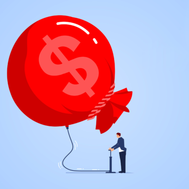 The Myth of Efficiency and the Allure of Scale
