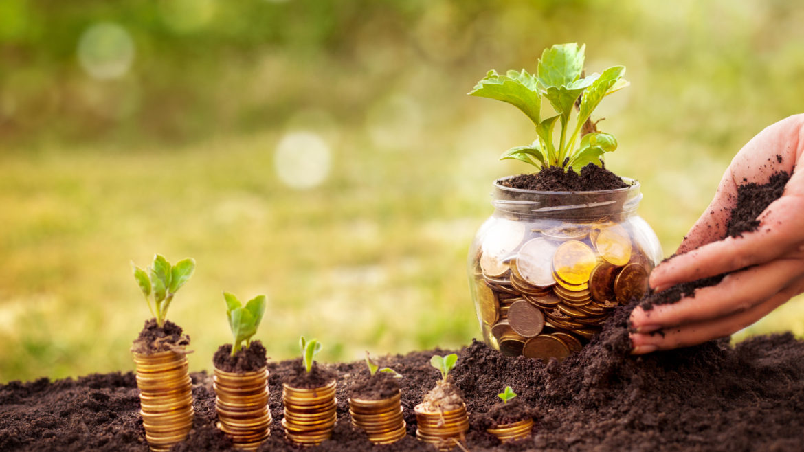Credit Unions and Farming: What We Can Learn About Business Sustainability