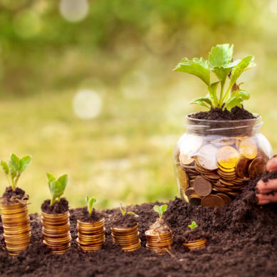 Credit Unions and Farming: What We Can Learn About Business Sustainability