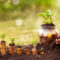 Credit Unions and Farming: What We Can Learn About Business Sustainability