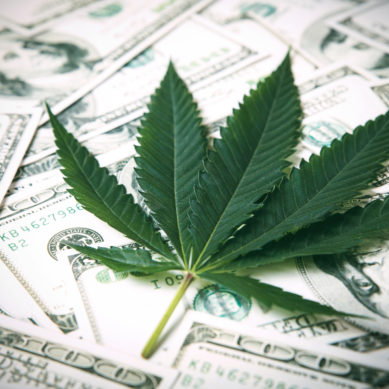 Is Cannabis the Next Golden Opportunity for Credit Unions?